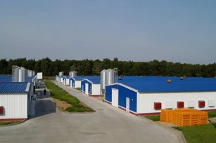 Особенности современного строительства сельскохозяйственных объектов Особенности современного строительства сельскохозяйственных объектов